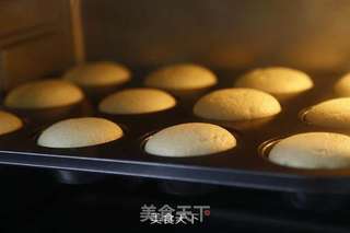 原味戚风纸杯蛋糕(烤箱做纸杯蛋糕)的做法步骤:12