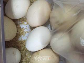 高山洋槐鸡蛋饼的做法步骤:5