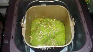 【柏翠全新旗舰PE9800面包机试用体验】—抹茶松子仁面包的做法步骤:19