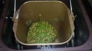 【柏翠全新旗舰PE9800面包机试用体验】—抹茶松子仁面包的做法步骤:10