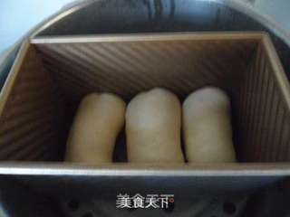 纯牛奶白吐司的做法步骤:11