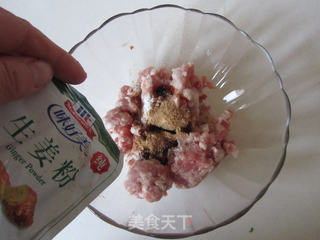 茴香千层肉饼的做法步骤:3