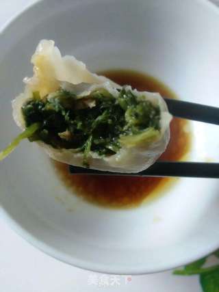 野味肉饺子~山芹菜大肉饺儿的做法步骤:10
