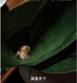 菜鸟也能包粽子:五香鲜肉粽的做法步骤:7