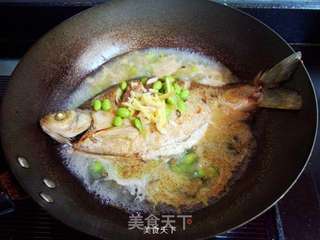 毛豆子烧鳊鱼的做法步骤:6