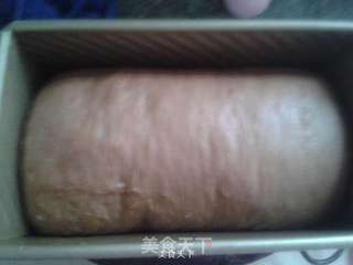 汤种可可双色吐司的做法步骤:8