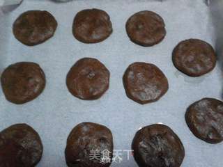 无基础超简单可可饼干的做法步骤:6