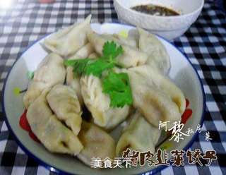 韭菜猪肉饺子的做法步骤:9