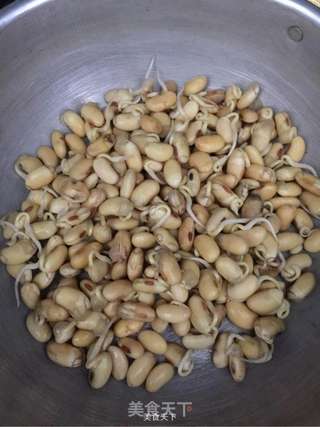 自制黄豆芽的做法步骤:4