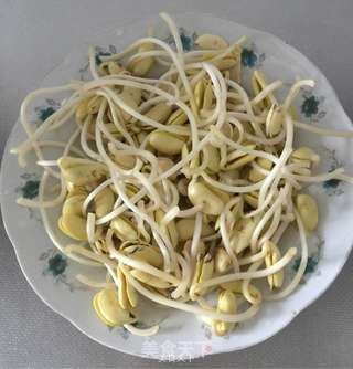 自制黄豆芽的做法步骤:7