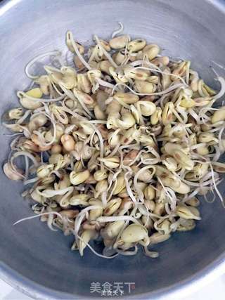 自制黄豆芽的做法步骤:5
