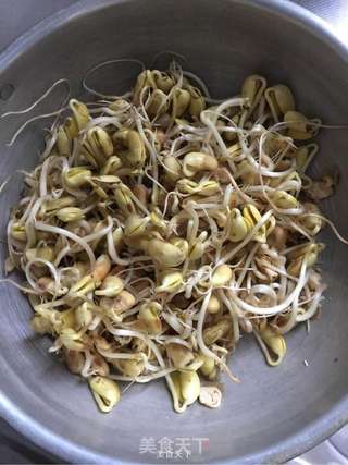 自制黄豆芽的做法步骤:6