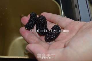 用面包机制作桑葚果酱的做法步骤:2