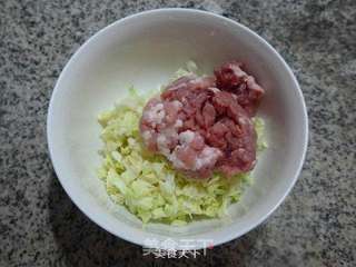 圆白菜猪肉馅盒子的做法步骤:2