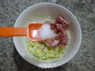 圆白菜猪肉馅盒子的做法步骤:6