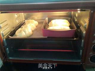提子面包的做法步骤:14