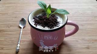 自制酸奶的做法步骤:8