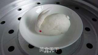 “夕餐落英------”白兔捣药成 问言与谁餐的做法步骤:12