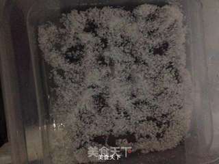 奶油椰蓉雪花糕的做法步骤:3