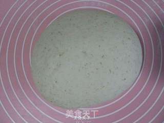 全麦馒头~蒸馒头的小窍门都在这里了!的做法步骤:6