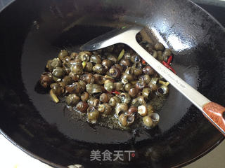 香辣小螺丝的做法步骤:5