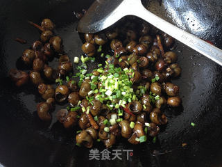 香辣小螺丝的做法步骤:8