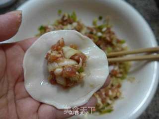 大葱猪肉馅饺子的做法步骤:10