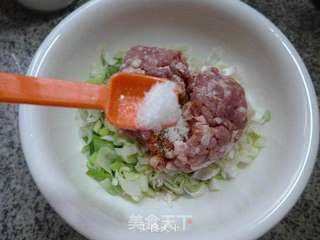 大葱猪肉馅饺子的做法步骤:7
