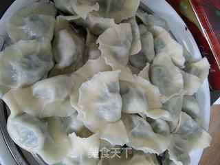 黄须菜肉馅饺子的做法步骤:36