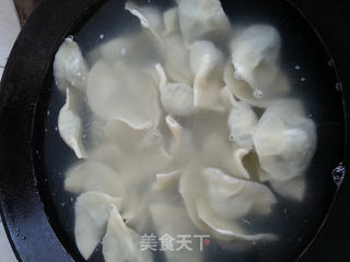 黄须菜肉馅饺子的做法步骤:34