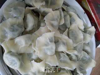 黄须菜肉馅饺子的做法步骤:37