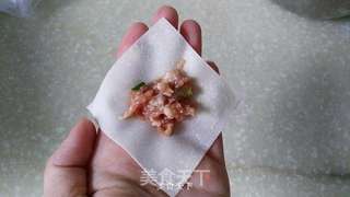 鲜肉小馄饨---早餐的好选择的做法步骤:3
