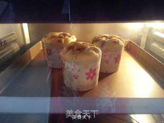葡萄干马芬纸杯蛋糕的做法步骤:8