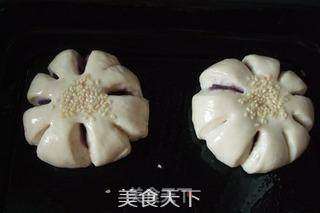 紫薯面包的做法步骤:9