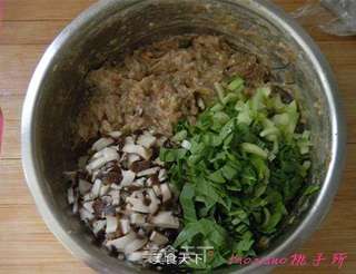香菇鸡肉菜心包子的做法步骤:6