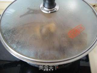 啤酒烧草鸭的做法步骤:9