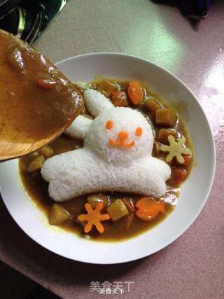 海豚咖喱土豆鸡饭(懒人版)的做法步骤:7