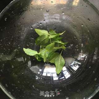 柠檬薄荷冰的做法步骤:3