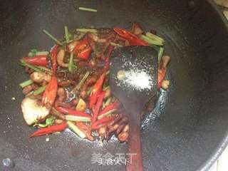色香味十足的--肉条烧豆腐的做法步骤:10
