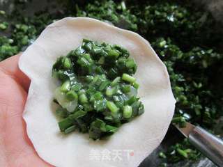 韭菜虾仁饺的做法步骤:9