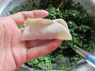 韭菜虾仁饺的做法步骤:10