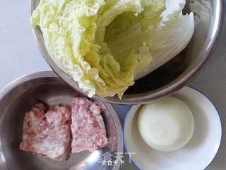 白菜猪肉包子的做法步骤:3