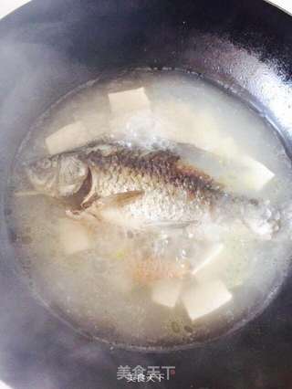 鲫鱼豆腐汤的做法步骤:6
