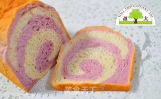盈太美食俱乐部---口感柔软的紫薯双色吐司的做法步骤:15