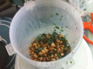 虾仁青酱意面的做法步骤:4
