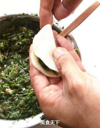 茴香饺子的做法步骤:9
