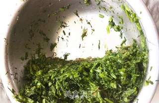 茴香饺子的做法步骤:6