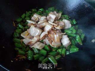 辣椒炒肉的做法步骤:11