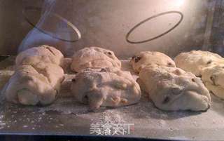 农家巧克力腰果面包的做法步骤:8
