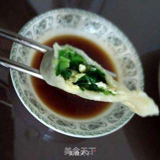韭菜鸡蛋馅儿饺子的做法步骤:14